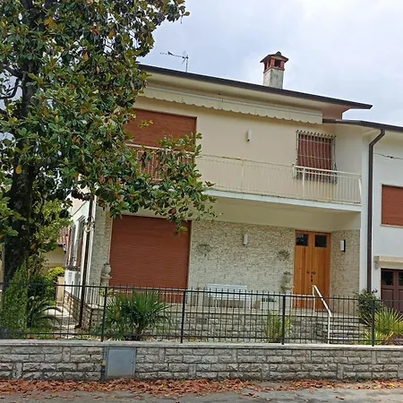 Magnolia Pietrasanta