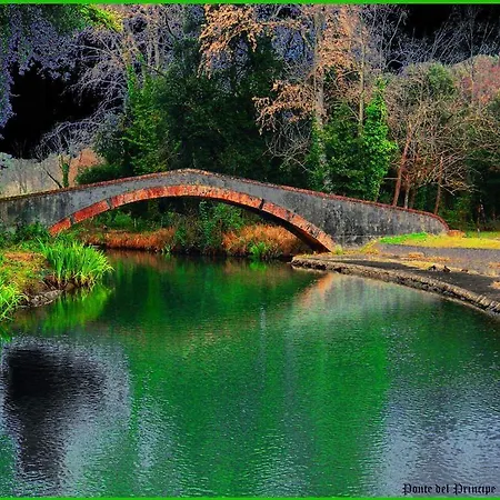 Σπίτι διακοπών In Citta Di Arte Con Giardino Privato - Carnevale Di Viareggio *