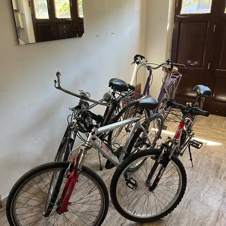 Σπίτι διακοπών In Citta Di Arte Con Giardino Privato - Carnevale Di Viareggio